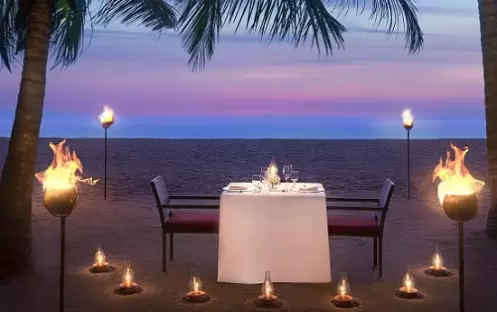 Miracle Dining Miracle Dining