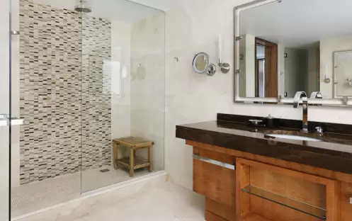 Deluxe Mountain-View Room Shower