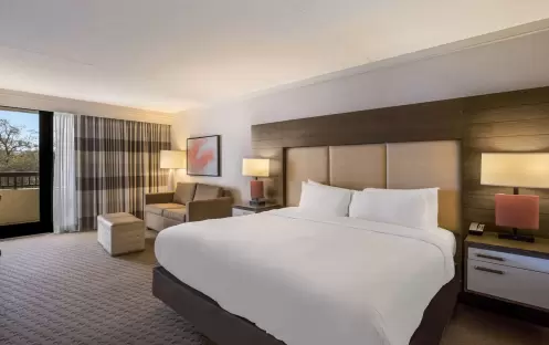 Standard - King  - Sofa Bed