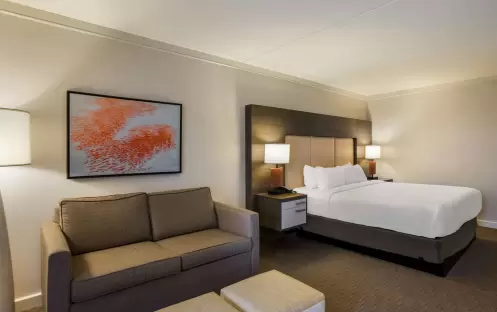 Standard - King  - Sofa Bed