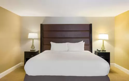 Executive - King - Sofa Bed - Garden View