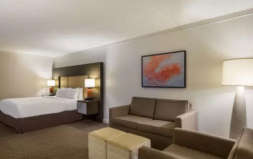 Executive - King - Sofa Bed - Corner