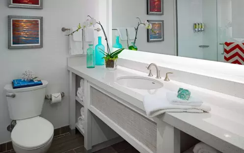 Suite - King - Sofa Bed - Garden View