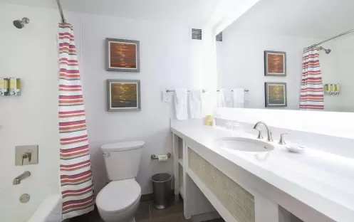 Standard - King  - Sofa Bed