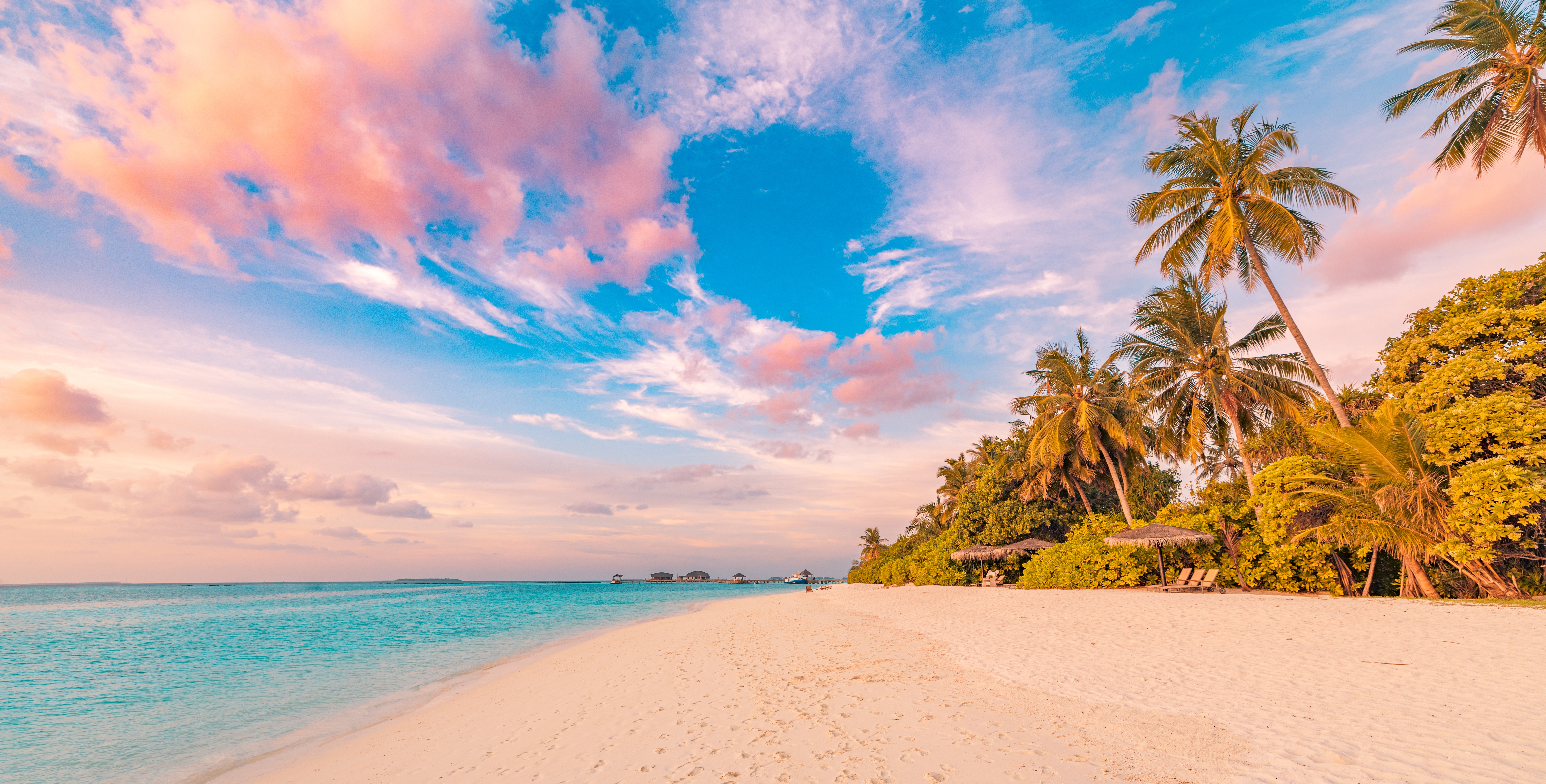 shutterstock_2385515923