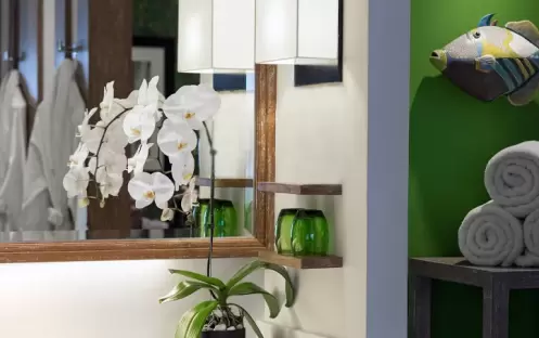 thailand-holidays-phuket-the-nai-harn-phuket-mountain-view-bathroom_noplastic